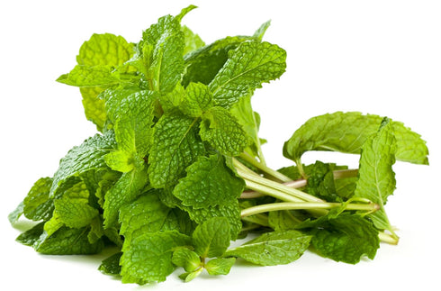 2oz 4oz,Pack 2 Rani Fresh Mint (Pudina) Leaves - of ~ All Natural | Vegan | Gluten Friendly | NON-GMO | Product of USA