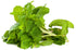 2oz 4oz,Pack 2 Rani Fresh Mint (Pudina) Leaves - of ~ All Natural | Vegan | Gluten Friendly | NON-GMO | Product of USA