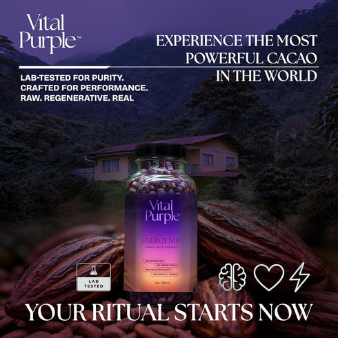 100% 900mg (10 oz) Vital Purple High Flavonal Raw Cocoa Energy Nibs Flavanols, Purple Cacao, Unroasted & Unfermented
