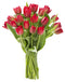 Blooms2Door - 20 Red Tulips without vase(Farm-Fresh Flowers, Cut-to-Order) - Fresh Flowers