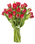 Blooms2Door - 20 Red Tulips without vase(Farm-Fresh Flowers, Cut-to-Order) - Fresh Flowers
