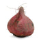 Fresh Produce Organic Red Beets
