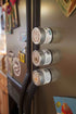 Forager's Favorite: Roast Veggie Seasoning - Authentic Gourmet Spice Mix, All Natural, Made in USA, Sustainably Sourced