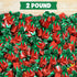2 lbs Pack Strawberry Filled Hard Candy Bon Bons Bulk - Individually Wrapped Christmas Fruit-Filled Candy, Classic