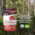 100% 4oz (34 Organic Whole Lingonberries Freeze-Dried Wild Nordic Superberry, Traditional ScandinavianSwedish Food