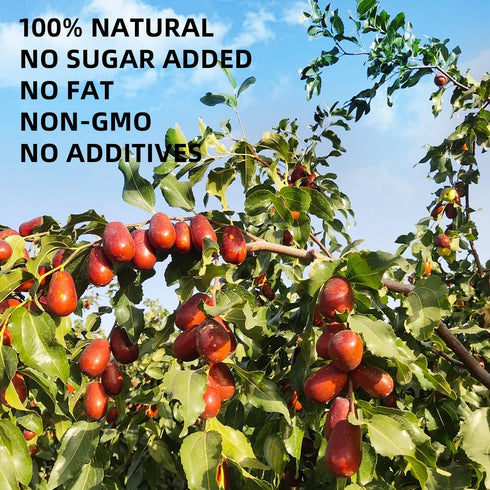 WZY 100% (12.3 OZ (350g)) Premium Dried Red Dates Jujube Dates - Natural Large & Sweet Healthy Snack No Preservatives