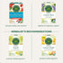 96 (6 Pack) Traditional Medicinals Tea, Organic Spearmint, Supports Everyday Wellness, Healthy & Refreshing, Tea Bags