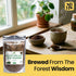 4oz, Herb To Body Black Walnut Leaf Powder - Wildcrafted Juglans Nigra, Finely Ground Dried Black Walnut Leaves