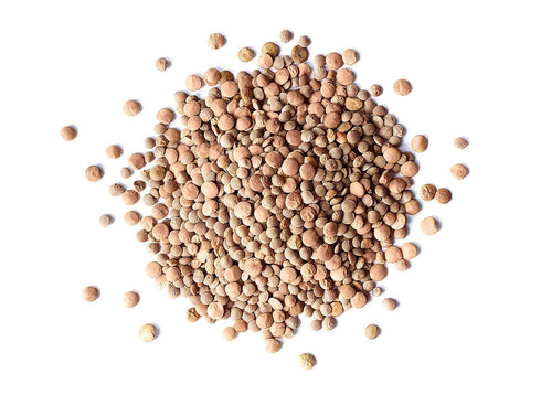 4 Food to Live - Whole Red Lentils, Pounds Dry Raw Lentils, Sproutable, Vegan, Kosher, Bulk. Quick-Cooking. Good Source