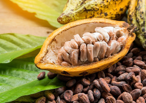 1 Food to Live Cacao Paste Wafers, Pound - Premium Raw Cacao Liquor, Pure, Unsweetened, Vegan, Bulk. Rich