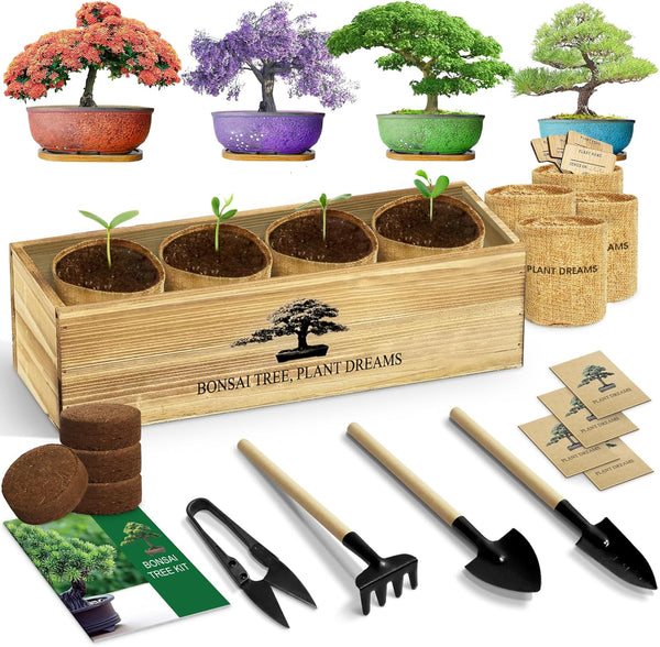 LUOJIBIE Bonsai Tree Kit, Complete Bonzai Tree Starter Kits, for Mom, Unique