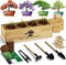 LUOJIBIE Bonsai Tree Kit, Complete Bonzai Tree Starter Kits, for Mom, Unique