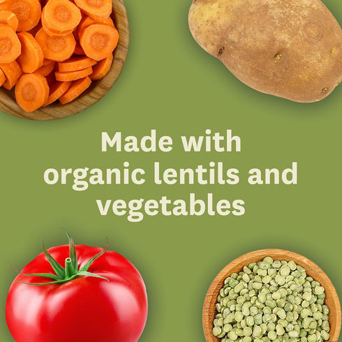 14.5 Oz (12 Pack) Amys Soup, Vegan Light in Sodium Lentil Vegetable Soup, Gluten Free, Made With Organic Vegetables