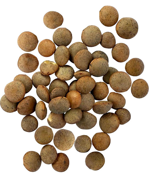 1 lb 100% Palouse Brand Non-GMO Project Verified Brown Lentils | Certified Glyphosate Residue Free | Pouch |