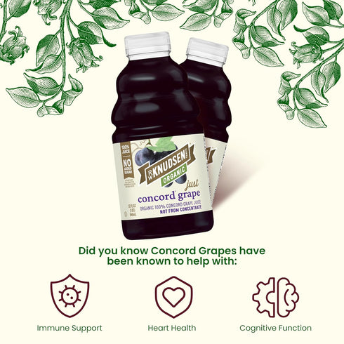32 oz (Pack 1) R.W. Knudsen Organic Just Concord Grape Juice, fl