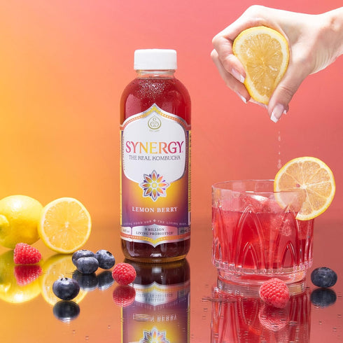 16 oz Immune SYNERGY The Real Kombucha - Lemon Berry - fl Bottle - Raw Probiotic Drink for Gut Health and Support