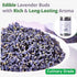100% 3.53oz (100g), Dried Culinary Lavender Natural Food Grade Lavender Buds Herbs Tea, Edible Lavenders Flowers