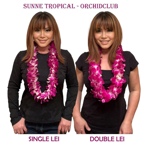 (2x50 Miami Fresh Orchid Flower OrchidClub USA Sunne Tropical Loose Bloom Head DIY Lei food drink decoration PURPLE