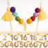 PapaKit Rainbow Pom Pom Birthday Cake Topper with Customizable Age Numbers, Premium Handmade Pre-Strung Decoration