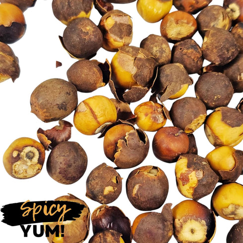 Spicy Yum! Country Bulbs 10 oz Premium Onion (Bush Onion, Bobimbi, Rondelle) Peeled, Washed & Dehydrated Aromatic Onion