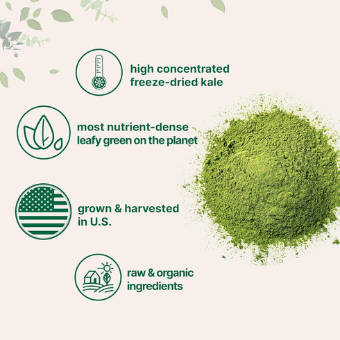 2 907 Sustainably US Grown, Organic Kale Powder, Pounds | Fresh Freeze Dried Source | Nutrient-Dense Greens Superfood |