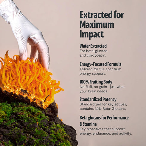 60 FreshCap Organic Mushroom Powder Supplement - Fruiting Body Extract (Cordyceps, Servings)