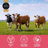 Premium Aufschnitt Products (2 Pack, Aufschnitt Jerky Bits Bites, Healthy Snacks Made of Beef and Chicken, High Protein