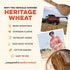 2 lbs Sunrise Flour Mill Organic Heritage Whole Wheat Flour - | Easier to Digest with Less Bloating | No Bleaching