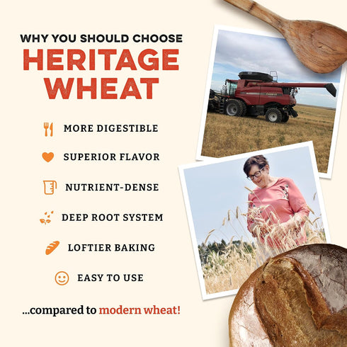 (80 (Pack 2)) Sunrise Flour Mill Heritage Organic Whole Wheat Flour & Pizza Flour Ounce of - Non-GMO, Kosher, Grown