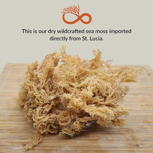 Infinity Seamoss 100% (8oz) - Sea Moss Gel + Northern California Local Honey | St. Lucia Wildcrafted Sea Moss | Organic