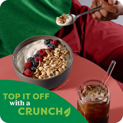 12g 12g 12.3oz (1 Kashi GO Protein Cereal, Protein, Fiber, Original, Box Box)