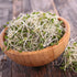 Organic Broccoli Sprouting Seeds by Handy Pantry, 4 oz. Resealable Bag