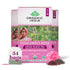 Organic India Tulsi Sweet Rose Assam Black Tea - Stress Relieving &