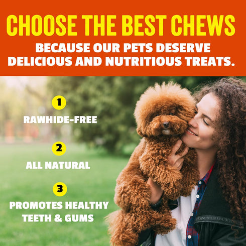 7" 10 Pack etta says! Select Crunchy Dog Chews - Rawhide-Free Dog Treats - Made in the USA - Odor-Free, All-Natural