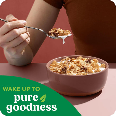 17.2oz (1 (Pack 2) Kashi Breakfast Cereal, Organic, Whole Grain, Cocoa Clusters, Box Box)