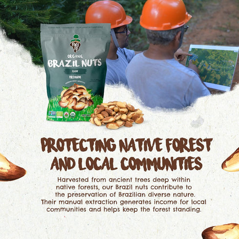 7 oz Snack The True Organic Brazil Nuts Raw and Unsalted Kosher Healthy-Rich in Vegetable Protein Harvested in Amazon