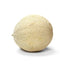 Fresh Produce 1 Cantaloupe Melon, Each