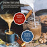 6-Pack, 32 Oz., 1:1, Third Street Inc Organic Dragon Tongue Ginger Chai Concentrate Fl. Black Tea Latte Concentrate