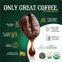 16-Ounce (Pack 2) The Bean Organic Coffee Company Water Processed DECAF Peppermint Mocha, Medium Roast, Whole Bean