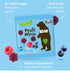 Bear Real Fruit Snack Minis, Raspberry/Blueberry