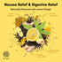 Oat Mama Morning Sickness Relief Tea - Natural Nausea Relief for Pregnant Women - Decaf Ceylon Black Tea with Ginger
