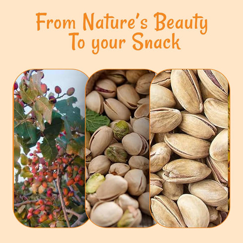 1 lb Packed Oh! Nuts Pistachios Iranian Style - Roasted Lightly Salted - - Shelled Whole Nuts - in New York Zip-Seal