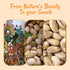 1 lb Packed Oh! Nuts Pistachios Iranian Style - Roasted Lightly Salted - - Shelled Whole Nuts - in New York Zip-Seal