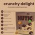 2 Lb, (Pack 1) Nutic Dark Chocolate Covered Walnuts - Premium Roasted Walnuts Drenched in Rich Dark Chocolate