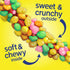 0.92 (Pack 24) Nerds Rope Candy, Tropical Flavor, Ounce Ropes