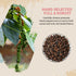 52USA 18 oz 39 oz, 2 Set Whole Black Peppercorns + Himalayan Pink Salt (Coarse Grain) Salt and Pepper Grinder, Black