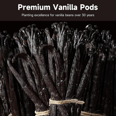 5" 7" 25 Counts SPICEEL Madagascar Vanilla Beans Grade A Vanilla Pods for Making Extract, Whole - Vanilla Beans