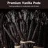 10 Counts SPICEEL Organic Madagascar Vanilla Beans Grade A Vanilla Pods for Making Extract, Whole Vanilla Beans