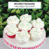 Set, 24 Count Global Sugar Art Edible Royal Icing White Rose Two sizes, for Cake and Cupcake Decorating by Chef Alan