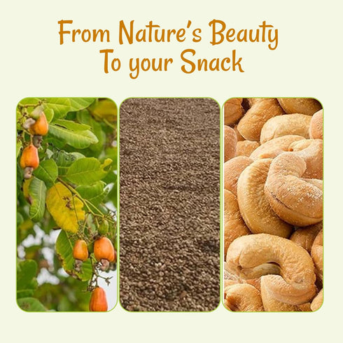 2 lb Packed Oh! Nuts Cashews Roasted Salted - - Oven Dry Roasted Cashews - in New York Zip-Seal Bag for Exceptional